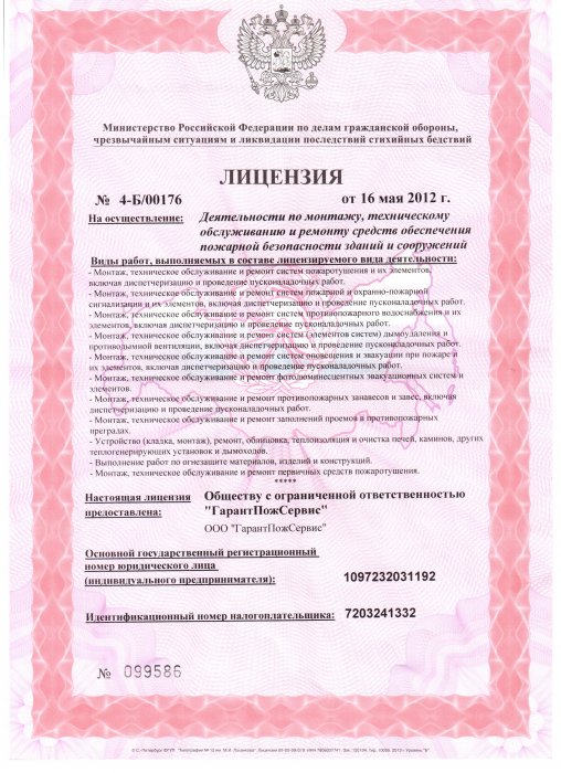 Лицензия на техническое обслуживание